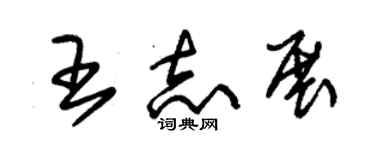 朱锡荣王志展草书个性签名怎么写
