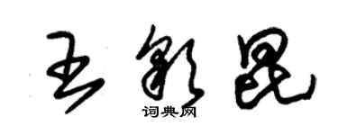 朱锡荣王彩昆草书个性签名怎么写