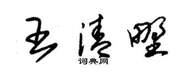 朱锡荣王清野草书个性签名怎么写