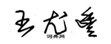 朱锡荣王尤丰草书个性签名怎么写