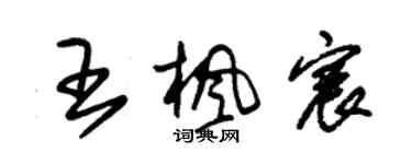 朱锡荣王枫宸草书个性签名怎么写