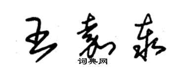 朱锡荣王嘉泰草书个性签名怎么写