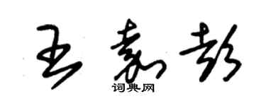 朱锡荣王嘉彭草书个性签名怎么写
