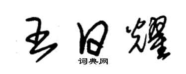 朱锡荣王日耀草书个性签名怎么写