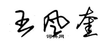 朱锡荣王风奎草书个性签名怎么写