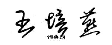 朱锡荣王培燕草书个性签名怎么写