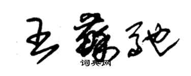 朱锡荣王苏驰草书个性签名怎么写