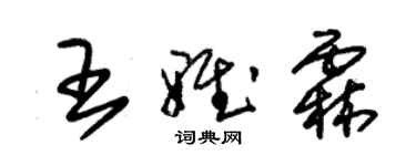 朱锡荣王雅霖草书个性签名怎么写