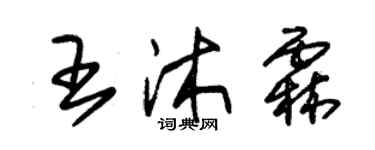 朱锡荣王沐霖草书个性签名怎么写