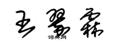 朱锡荣王翠霖草书个性签名怎么写