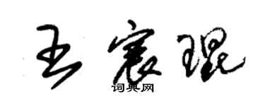 朱锡荣王宸琨草书个性签名怎么写