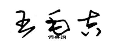 朱锡荣王毛吉草书个性签名怎么写
