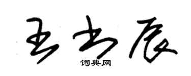 朱锡荣王书辰草书个性签名怎么写