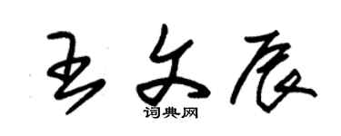 朱锡荣王文辰草书个性签名怎么写