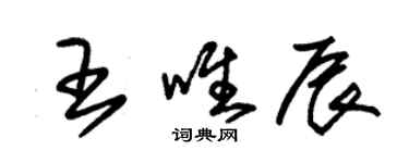 朱锡荣王唯辰草书个性签名怎么写