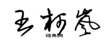 朱锡荣王柯岚草书个性签名怎么写