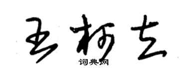朱锡荣王柯立草书个性签名怎么写