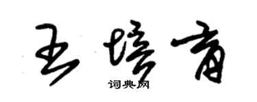 朱锡荣王培育草书个性签名怎么写
