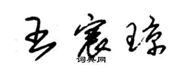 朱锡荣王宸琼草书个性签名怎么写