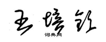 朱锡荣王培钦草书个性签名怎么写