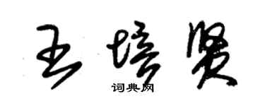 朱锡荣王培贤草书个性签名怎么写