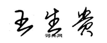 朱锡荣王生贵草书个性签名怎么写