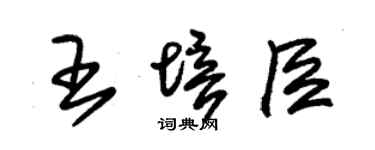 朱锡荣王培臣草书个性签名怎么写