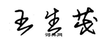 朱锡荣王生茂草书个性签名怎么写
