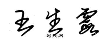 朱锡荣王生霞草书个性签名怎么写