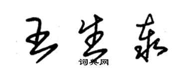 朱锡荣王生泰草书个性签名怎么写