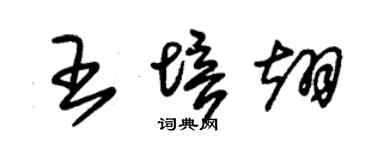 朱锡荣王培翊草书个性签名怎么写