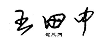朱锡荣王田中草书个性签名怎么写