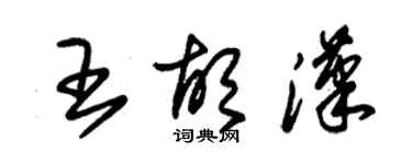 朱锡荣王胡汉草书个性签名怎么写