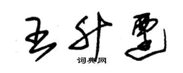 朱锡荣王升迁草书个性签名怎么写