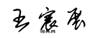 朱锡荣王宸展草书个性签名怎么写