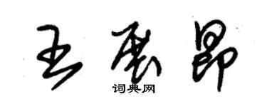 朱锡荣王展昂草书个性签名怎么写