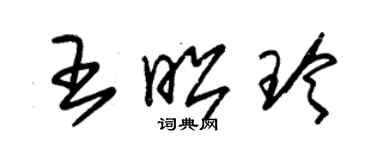 朱锡荣王昭玲草书个性签名怎么写