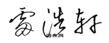 骆恒光雷浩轩草书个性签名怎么写