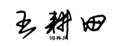 朱锡荣王耕田草书个性签名怎么写