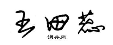 朱锡荣王田蕊草书个性签名怎么写