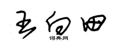 朱锡荣王向田草书个性签名怎么写