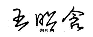 朱锡荣王昭含草书个性签名怎么写