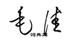 骆恒光毛佳草书个性签名怎么写