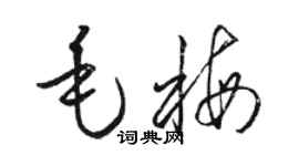 骆恒光毛梅草书个性签名怎么写