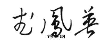 骆恒光武凤英草书个性签名怎么写