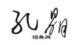 骆恒光孔晶草书个性签名怎么写