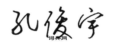 骆恒光孔俊宇草书个性签名怎么写