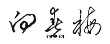 骆恒光向春梅草书个性签名怎么写