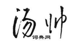骆恒光汤帅草书个性签名怎么写