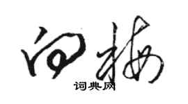 骆恒光向梅草书个性签名怎么写